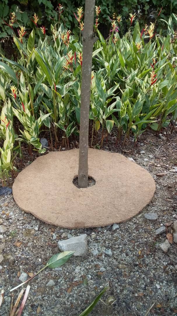 Biodegradable mulch mats for trees Grow Fresh, Healthy Greens