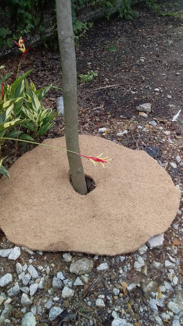 Biodegradable mulch mats for trees Grow Fresh, Healthy Greens