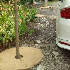 Biodegradable mulch mats for trees Biodegradable mulch mats for trees