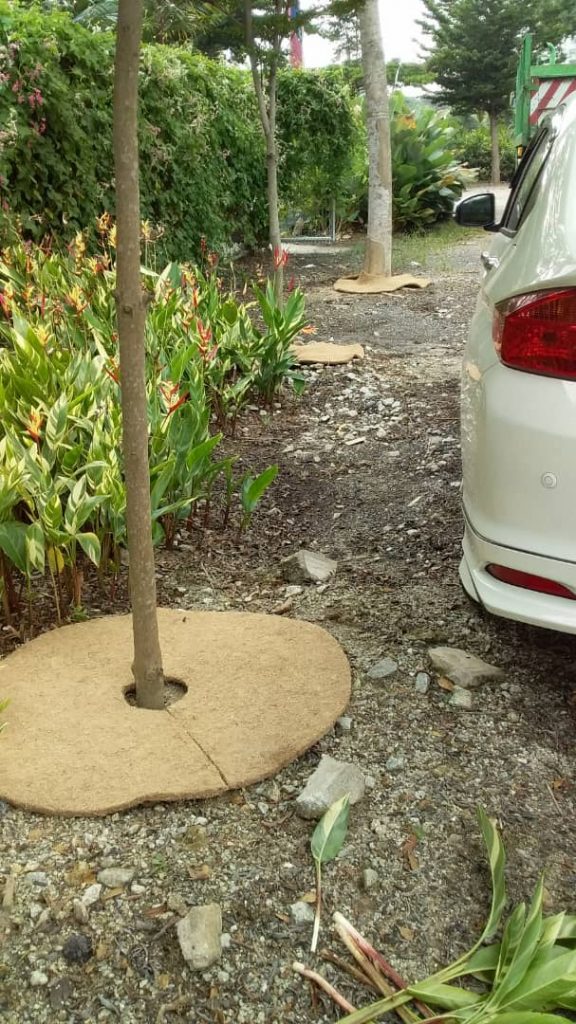 Biodegradable mulch mats for trees