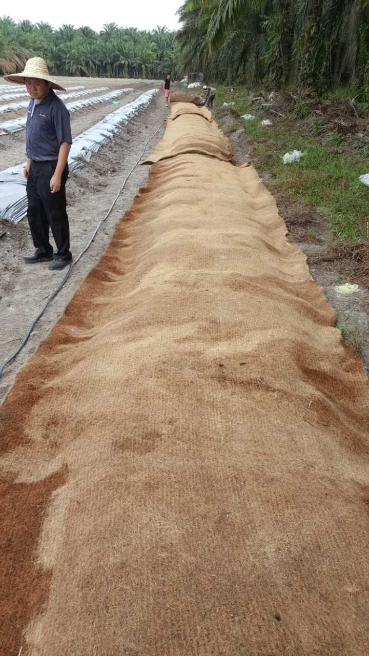 Coconut mats for erosion control Grow Fresh, Healthy Greens Organic