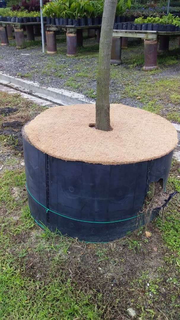 Biodegradable mulch mats for trees Grow Fresh, Healthy Greens