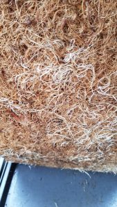 microgreen chemicals adhesives
