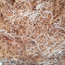 Microgreen grow mats – Environmental friendly, sustainable and no chemicals & adhesives Microgreen grow mats – Environmental friendly, sustainable and no chemicals & adhesives