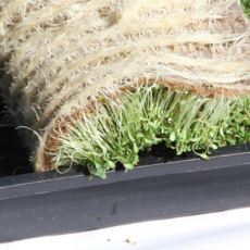 Microgreen Grow Mats Pads Organic Certified Hydroponics Coir