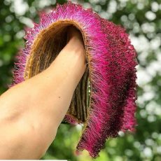 Hemp mats microgreens Hemp mats microgreens