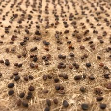 Hydroponic seed mats Hydroponic seed mats