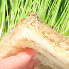 Hemp Grow Mats Hemp Grow Mats