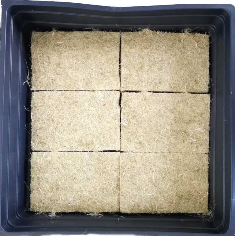 Hemp mat for rodents Grow Fresh, Healthy Greens OrganicCertified