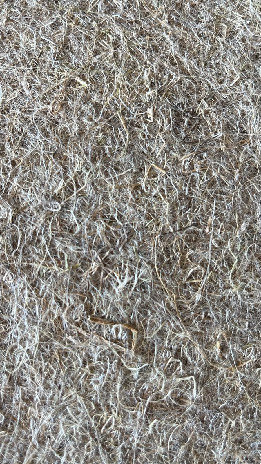 Microgreen Mats